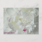 Pfingsten: Immer dein Postkarte (Vorderseite)