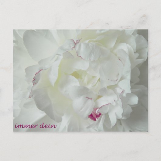 Pfingsten: Immer dein Postkarte (Vorderseite)