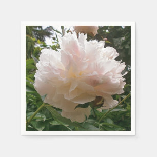 Pfingstrose. Blume Serviette
