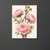 Pfingstrose Botanisch Poster