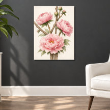 Pfingstrose Botanisch