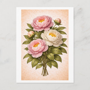 Pfingstrose-Botanische Illustration im Vintage-Sti Postkarte