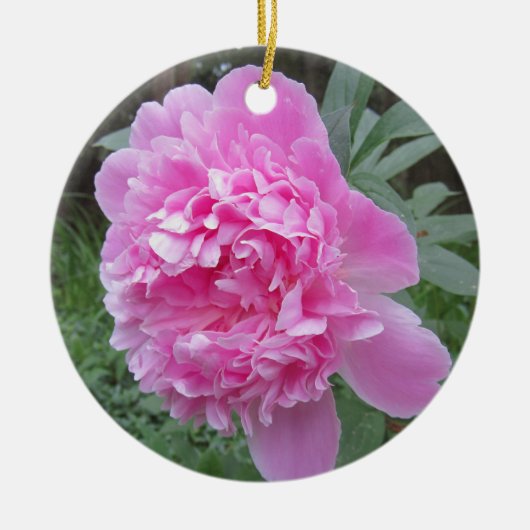 Pfingstrose Keramik Ornament (Vorne)