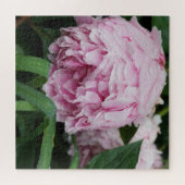 Pfingstrose Pink Puzzle (Horizontal)