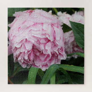 Pfingstrose Pink Puzzle