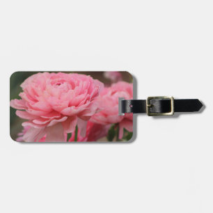 Pfingstrose Pink Ranunculus Nahaufnahme Gepäckanhänger