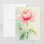 Pfingstrose Rosa Postkarte (Vorne/Hinten)