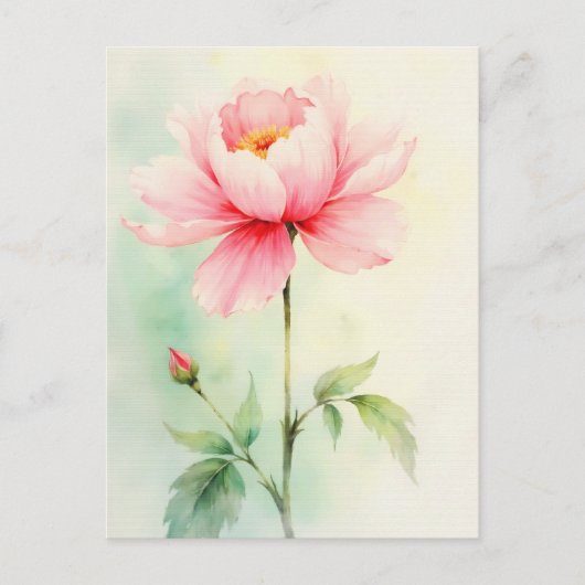 Pfingstrose Rosa Postkarte (Vorderseite)