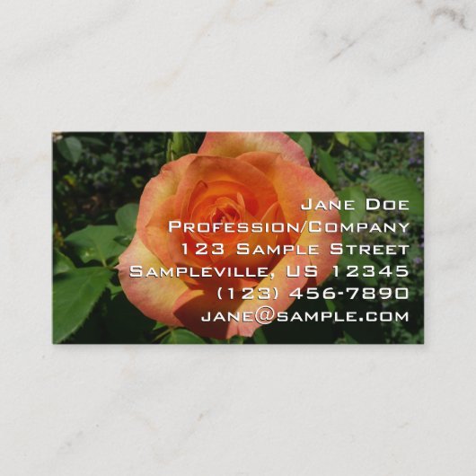 Pfingstrose Visitenkarte (Vorderseite)