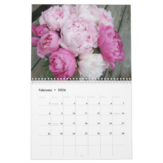 Pfingstrosen 2016 Kalender-Blumen Kalender (Feb 2026)