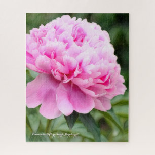 Pfingstrosen [Blume] Puzzle