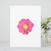 Pfingstrosen-Blumen-Botanik-Kunstkarten Einladung (Stehend Vorderseite)
