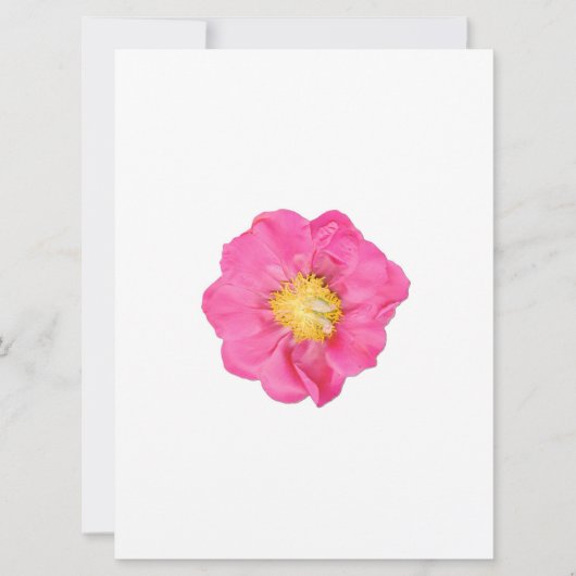 Pfingstrosen-Blumen-Botanik-Kunstkarten Einladung (Vorderseite)