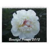 Pfingstrosen-Blumen-Kalender 2013 Kalender (Titelbild)
