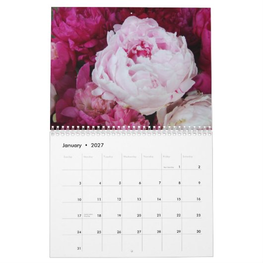 Pfingstrosen-Blumen-Kalender 2013 Kalender (Jan 2027)