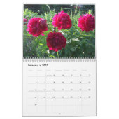 Pfingstrosen-Blumen-Kalender 2013 Kalender (Feb 2027)