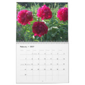 Pfingstrosen-Blumen-Kalender 2015 Kalender (Feb 2027)