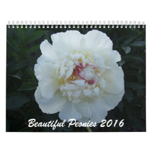 Pfingstrosen-Blumen-Kalender 2016 Kalender