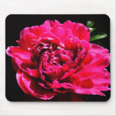 Pfingstrosen-Blumen-Mausunterlage Mousepad (Vorne)