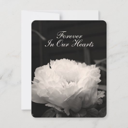 Pfingstrosen-Blumenphotographie 1 Begräbnis- Einladung (Vorderseite)