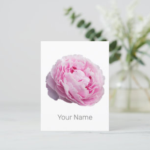 Pfingstrosen-Blüten-Rose für Blumen- und Gartenlie Feiertagspostkarte