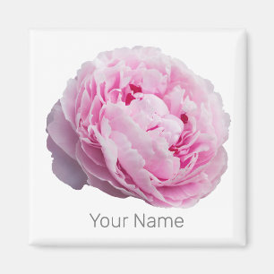 Pfingstrosen-Blüten-Rose Für Blumen- und Gartenlie Magnet