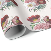 Pfingstrosen Geschenkpapier (Rolleneckpunkt)