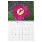 Pfingstrosen-Kalender August 2007 bis Juli 2008 Kalender (Feb 2027)