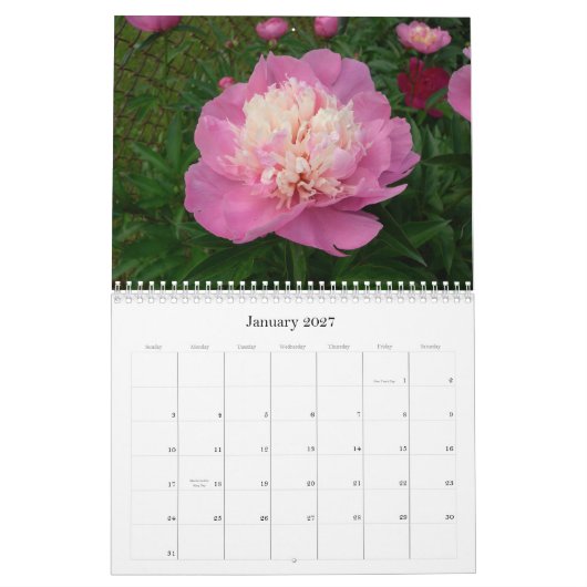 Pfingstrosen-Kalender August 2007 bis Juli 2008 Kalender (Jan 2027)
