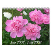 Pfingstrosen-Kalender August 2007 bis Juli 2008 Kalender (Titelbild)