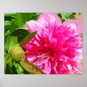 Pfingstrosen-rosa Blume Poster