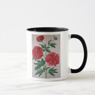 Pfingstrosen, überziehen 46 vom NassauFlorilegium Tasse