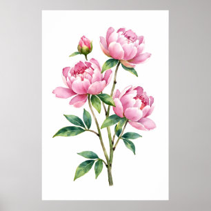 Pfingstrosen-Wasserfarbdruck Botanisch Poster