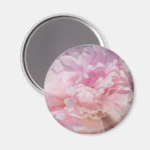 Pfingstrosenblüte Magnet (Vorderseite/Rückseite)