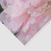 Pfingstrosenblüte Seidenpapier (Ausschnitt)