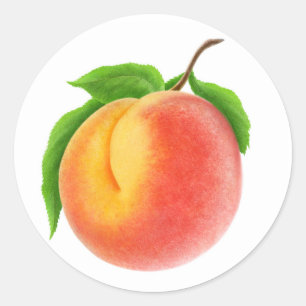 Pfirsich an einer Zweigstelle Runder Aufkleber