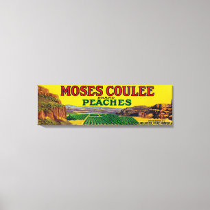 Pfirsich-Aufkleber Moseses Coulee Leinwanddruck