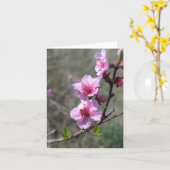 Pfirsich-Blüte - besonders angefertigt Karte (Gelbe Blume)