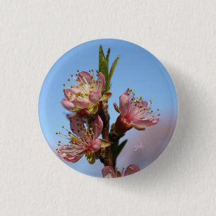 Pfirsich-Blüten Button