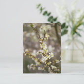 Pfirsich-Blüten Postkarte (Stehend Vorderseite)