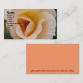 Pfirsich farbige Rose Visitenkarte (Vorne/Hinten)