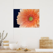Pfirsich Gerbera Poster (Küche)