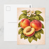 Pfirsich-Illustration im Vintage-Stil Postkarte (Vorne/Hinten)