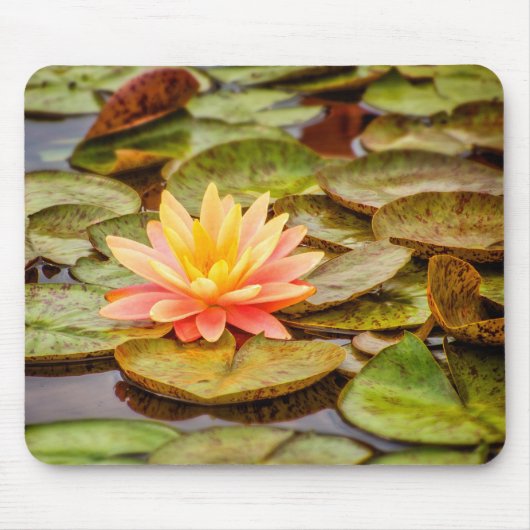 Pfirsich-Lotos-Blume Mousepad (Vorne)