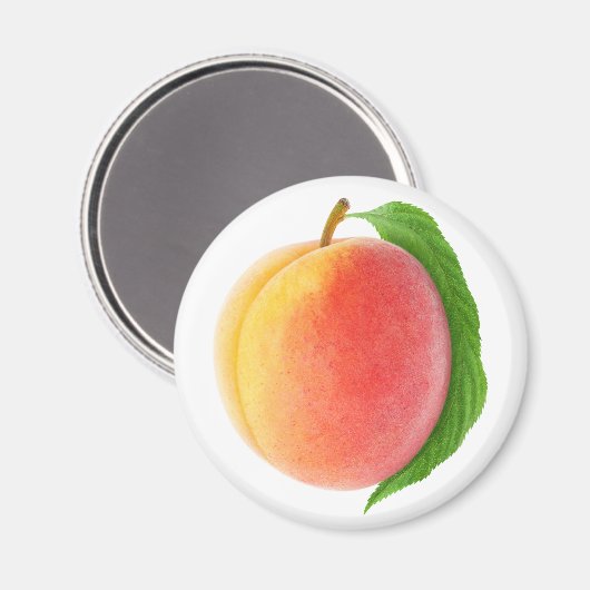 Pfirsich Magnet (Vorderseite/Rückseite)