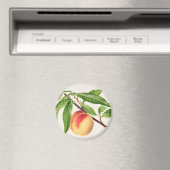 Pfirsich Magnet (In Situ (Geschirrspüler))