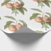 Pfirsich-Muster Geschenkpapier (Ecke)