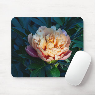 Pfirsich-Pfingstrose, weiche Blütenblume Foto Mousepad