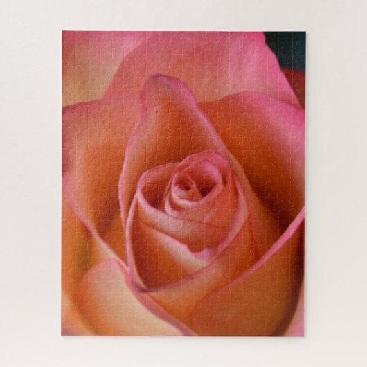 Pfirsich Pink Rose Jigsaw Puzzle (Vertikal)