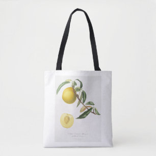 Pfirsich (Prunus persica) aus Pomona Italiana Tasche